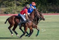 Covered Glam Picnic Area for 4 at Prestonwood Polo Club 202//138